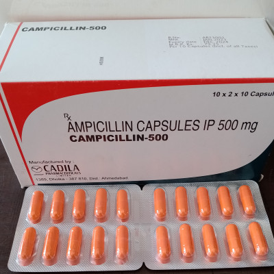 CAMPICILIN 500MG VIAL 50*1ML